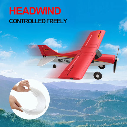 RC Airplane – QIDI-560, XK A160 & XK A220 | EPP Foam Fixed Wing Aircraft for Beginners & Experts