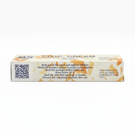 Civic Cream Box - White Background