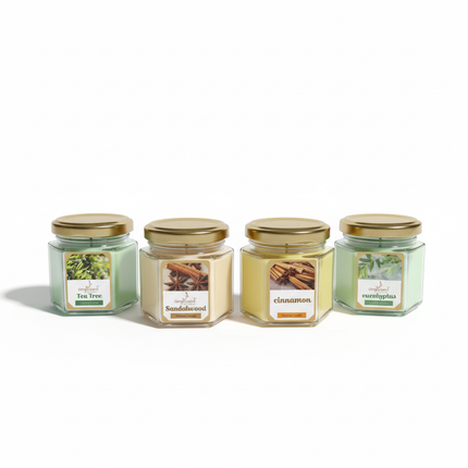 Ampliscent scented candles collection - Sandalwood, Tea Tree, Cinnamon, and Eucalyptus in elegant glass jars