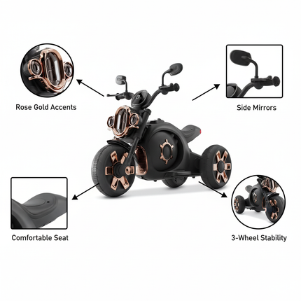 Electric motor bike features diagram