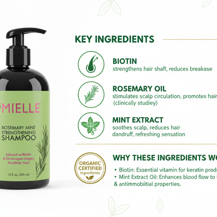 Mielle Ingredients Infographic